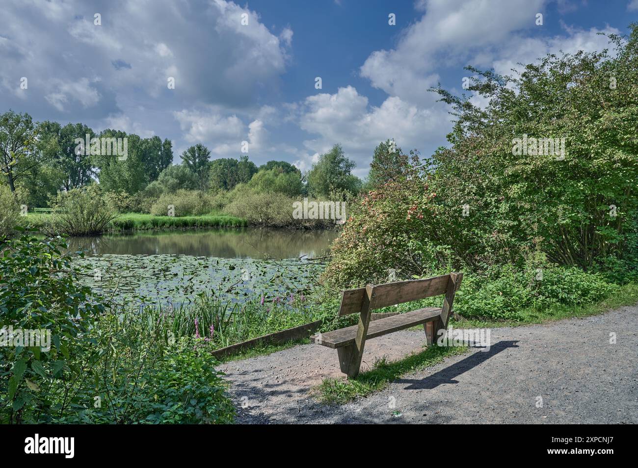 Riserva naturale di Urdenbacher Kämpe,pianura fluviale del Reno,Düsseldorf-Urdenbach;Germania Foto Stock