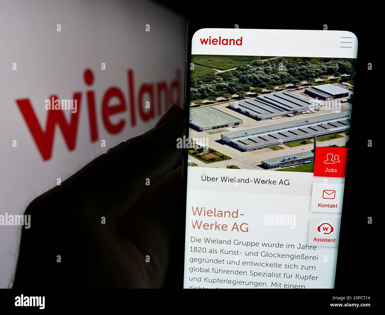 Persona che detiene un cellulare con pagina web della società tedesca di lavorazione dei metalli Wieland-Werke AG davanti al logo. Messa a fuoco al centro del display del telefono. Foto Stock