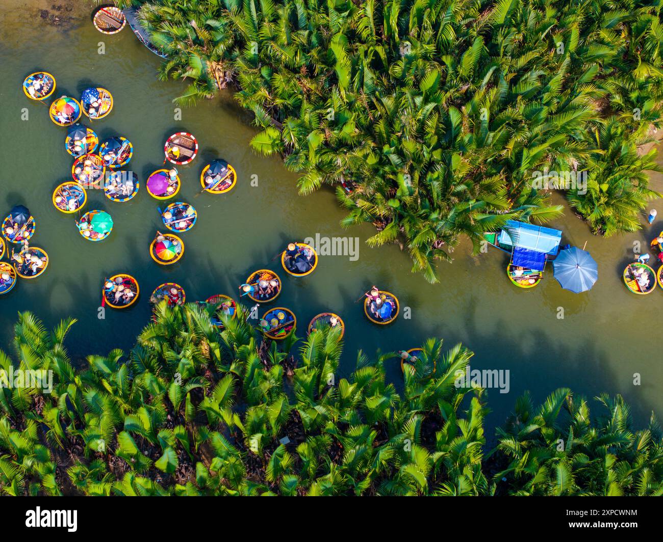 Vista aerea di un tour in barca con cesto di noci di cocco. Foresta di palme a Hoi An antica città, Cam Thanh, Vietnam. I turisti che fanno un'escursione e si divertono in questa zona Foto Stock