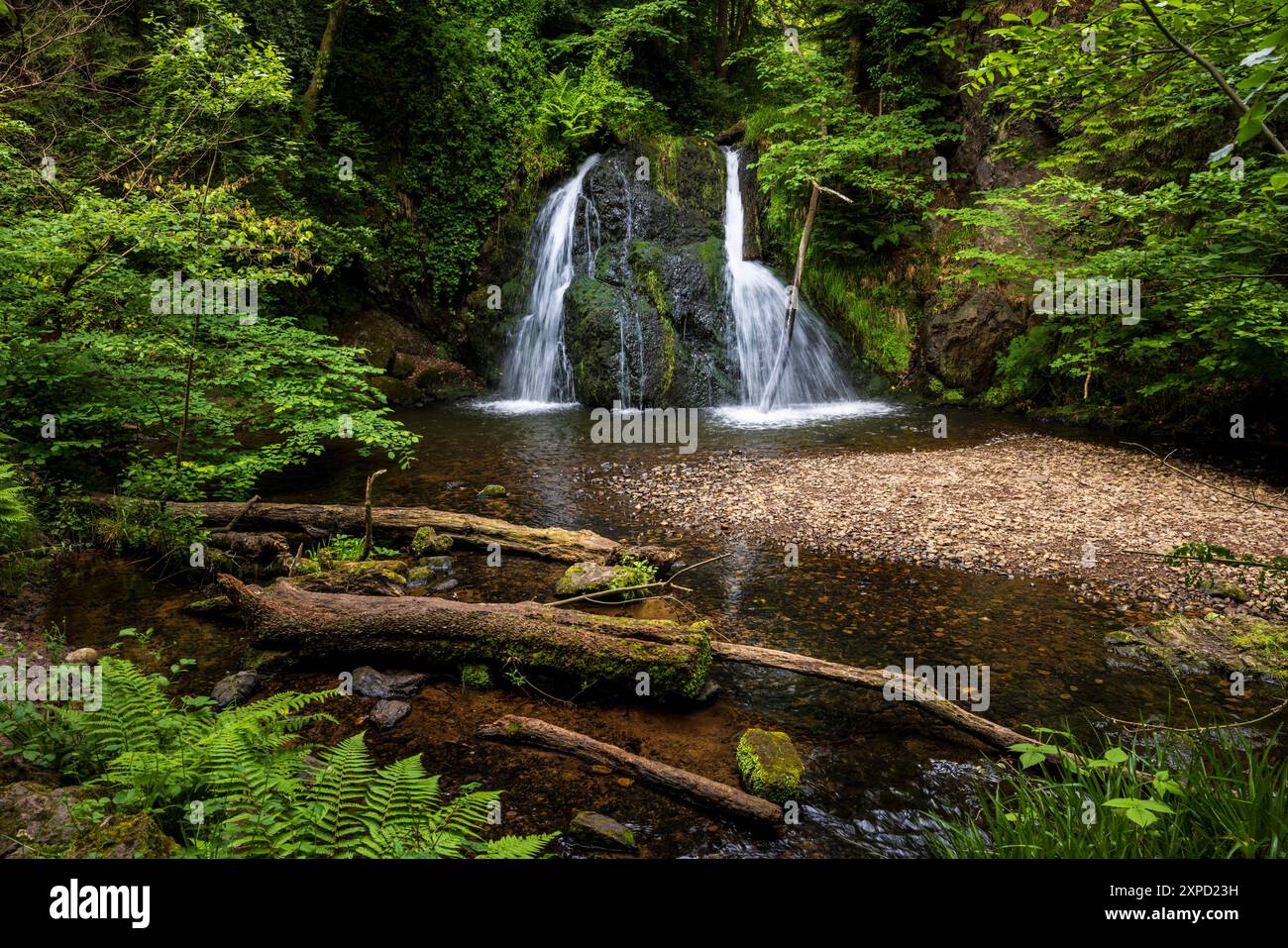 Le cascate di Fairy Glen, Rosemarkie, Black Isle, Ross e Cromarty, Scozia settentrionale Foto Stock