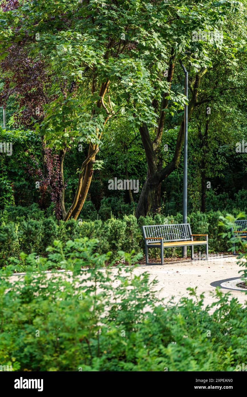 Ambiente tranquillo del Parco caratterizzato da panchine di legno circondate da lussureggiante vegetazione in Una giornata di sole brillante Foto Stock