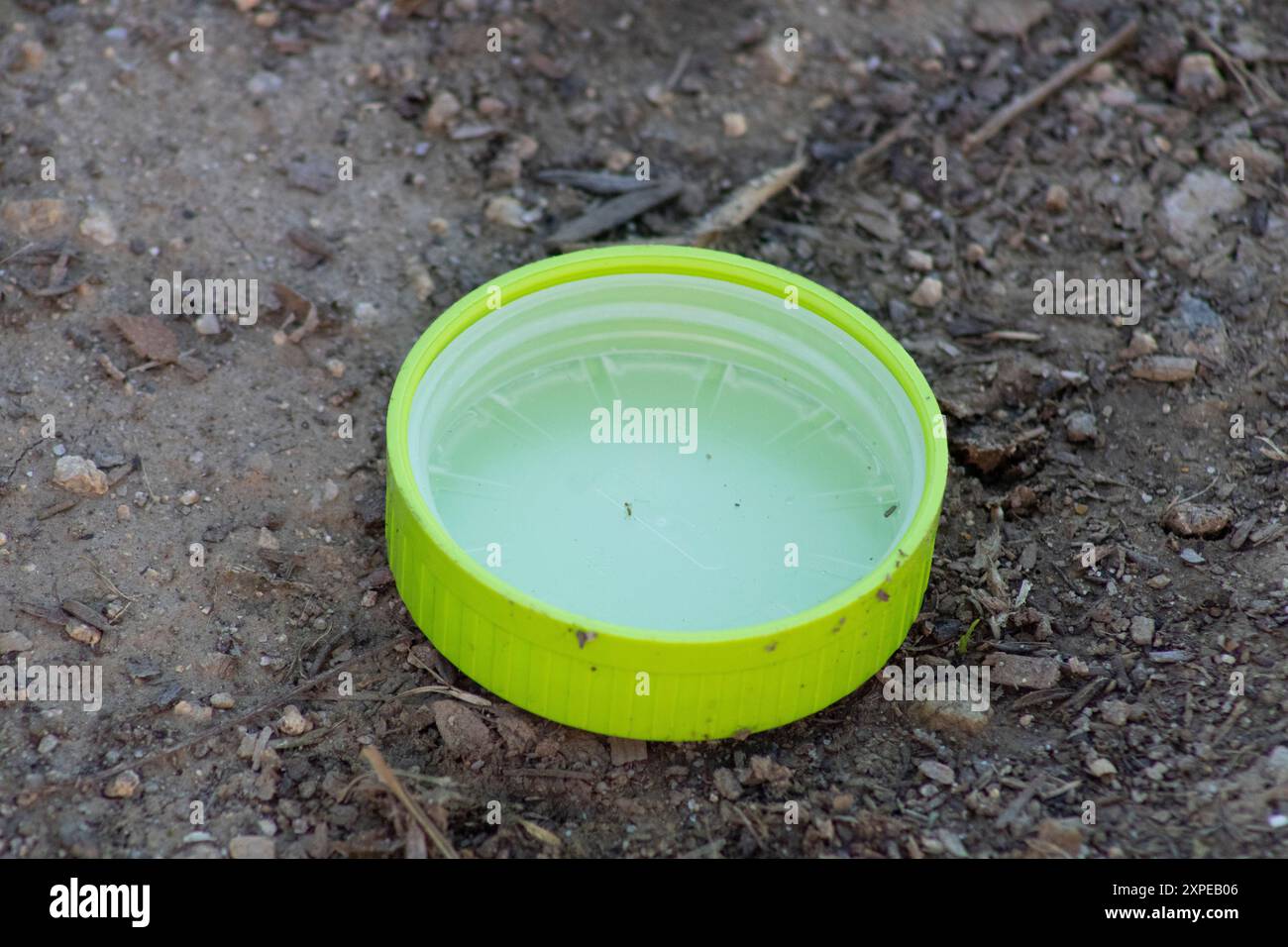 avvitare il coperchio per la parte superiore del contenitore Foto Stock