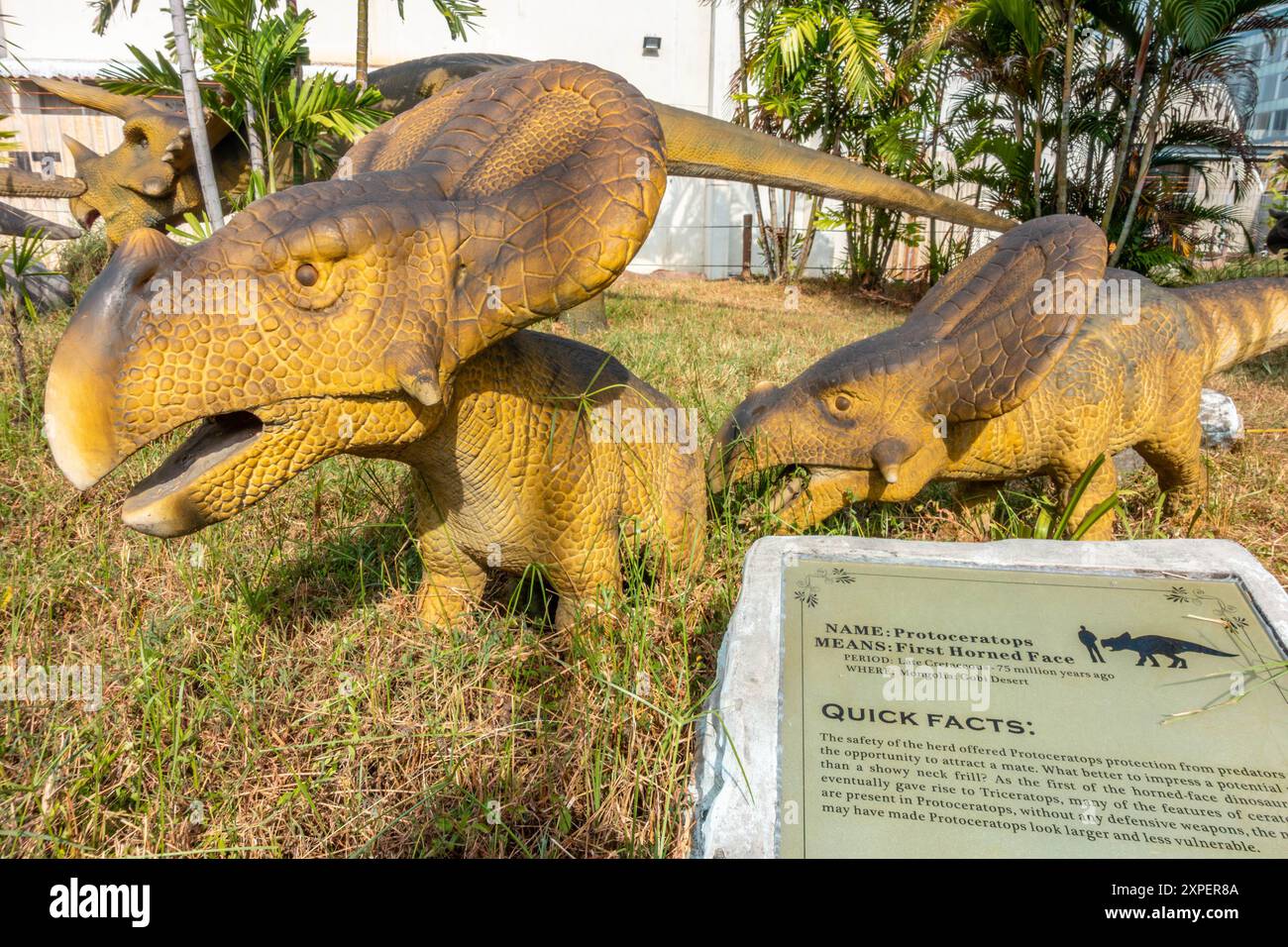 Un modello di Protoceratops al Jurassic Research Center di Penang nella Tomtar Tower, George Town, Penang, Malaysai Foto Stock