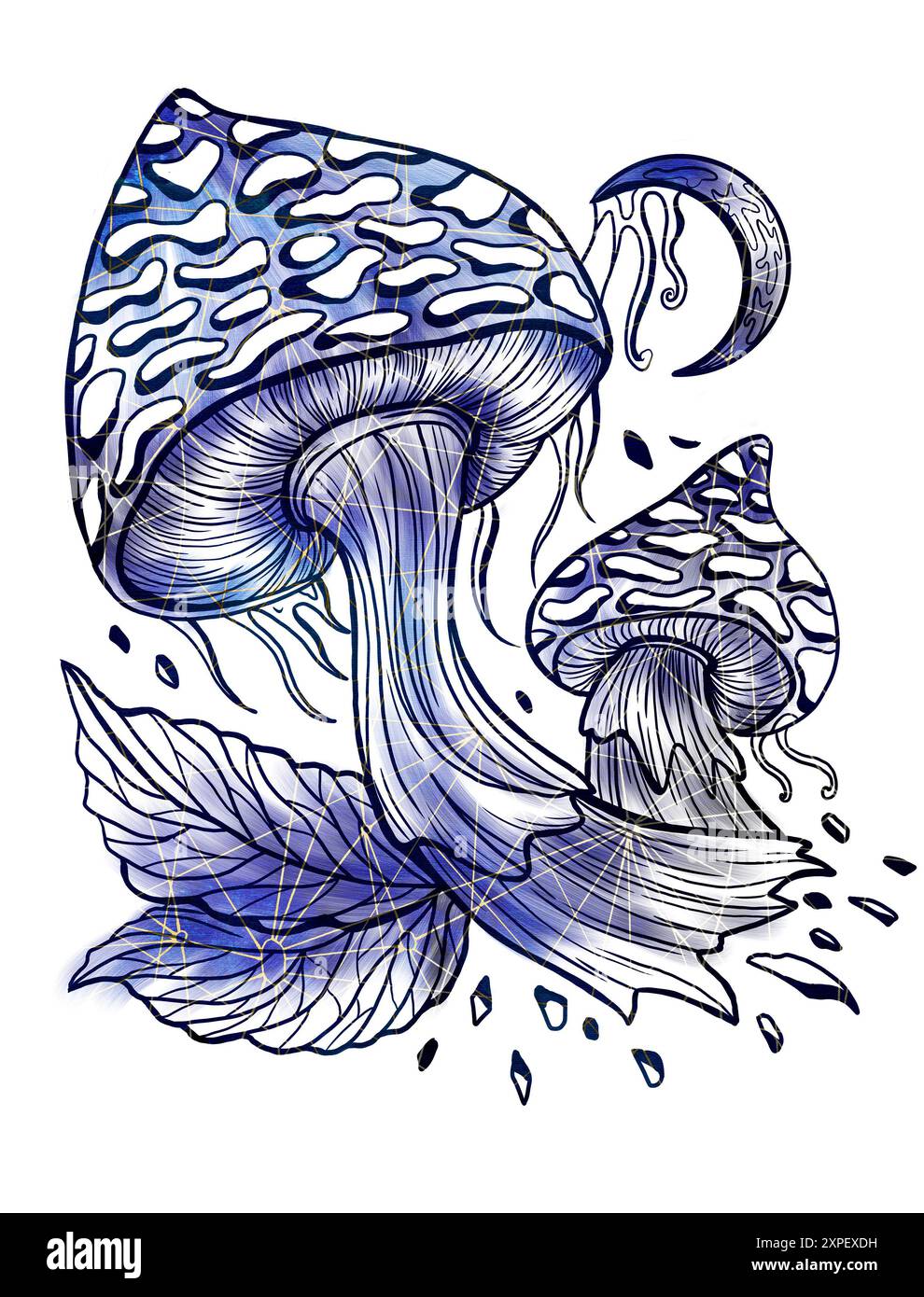 Illustrazione vintage in stile con funghi mistici, elementi decorativi magici e floreali, simboli di stregoneria isolati sul bianco. Con esoterico e strepitoso Foto Stock