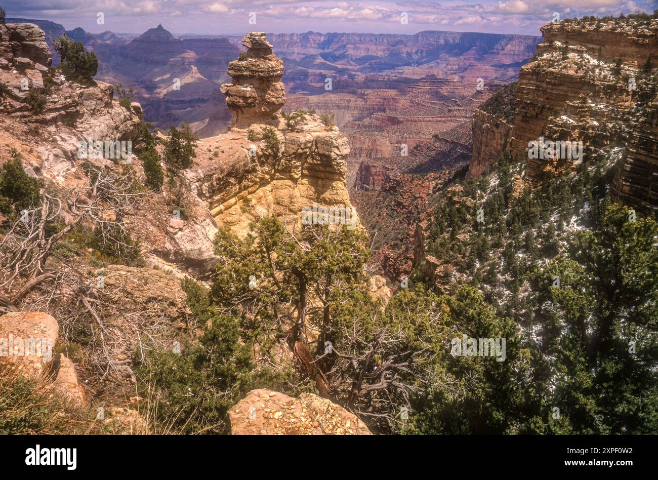 Vista di Duck su una formazione rocciosa con una vista mozzafiato lungo il South Rim del Grand Canyon nell'Arizona settentrionale. (USA) Foto Stock