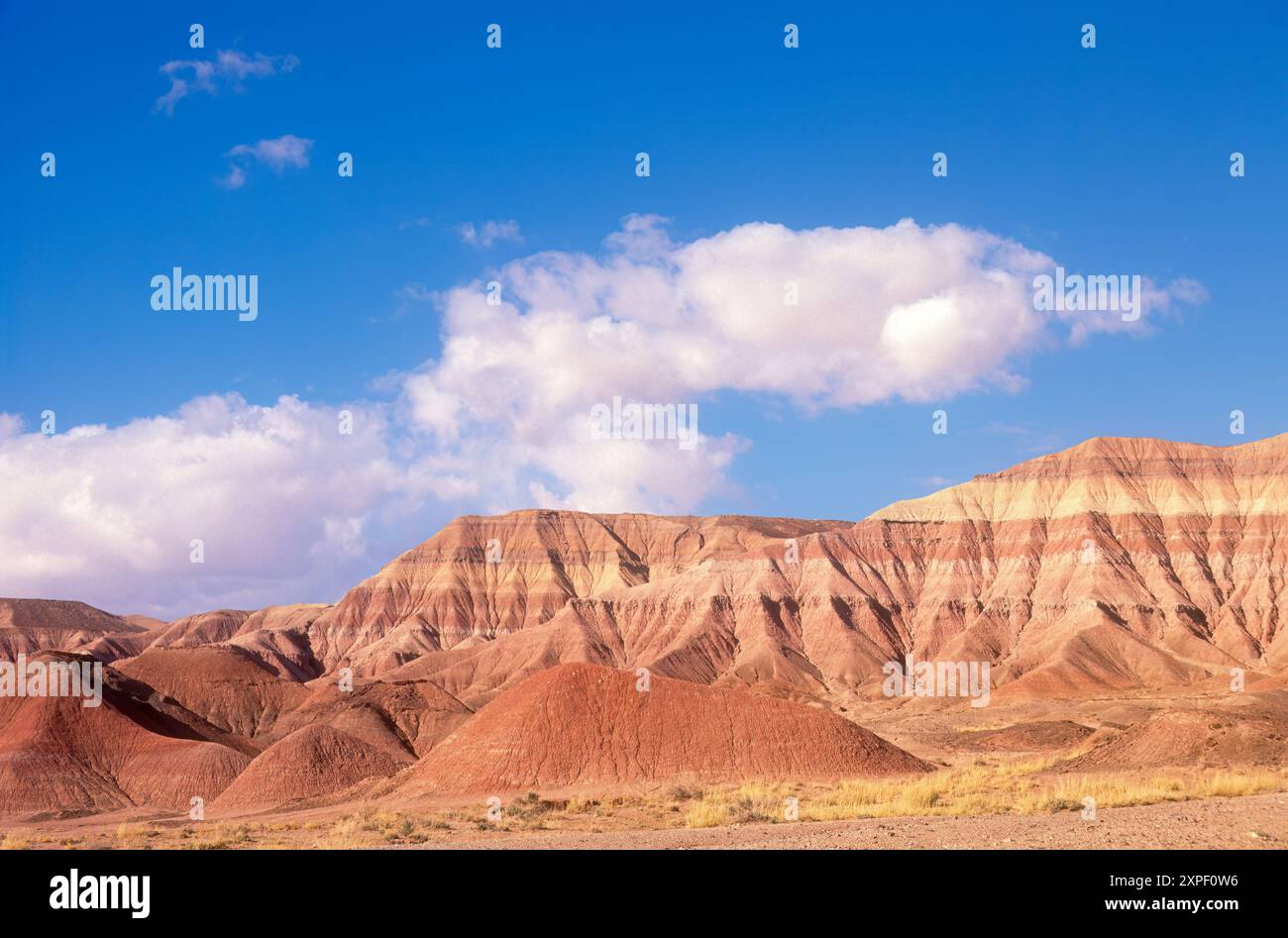 Colline desertiche dipinte nella Nazione Navajo a Tuba City, Arizona. (USA) Foto Stock