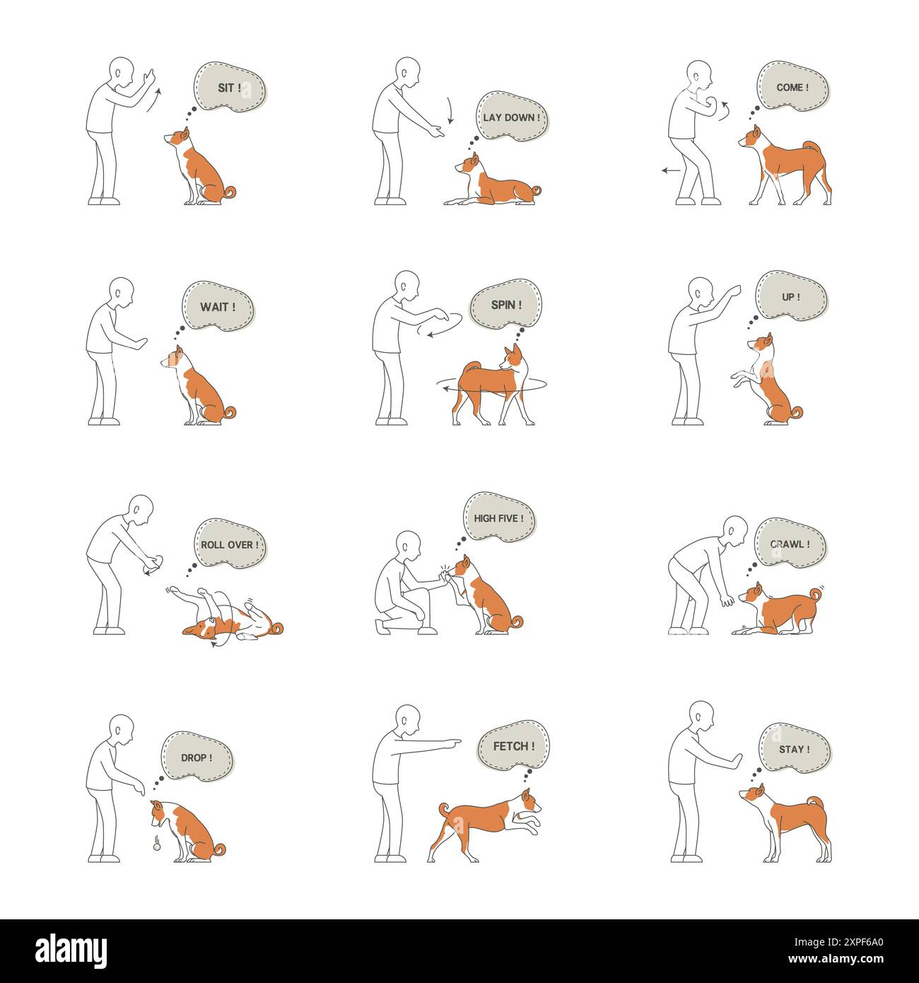 Un'illustrazione vettoriale del set icone addestramento cani Illustrazione Vettoriale