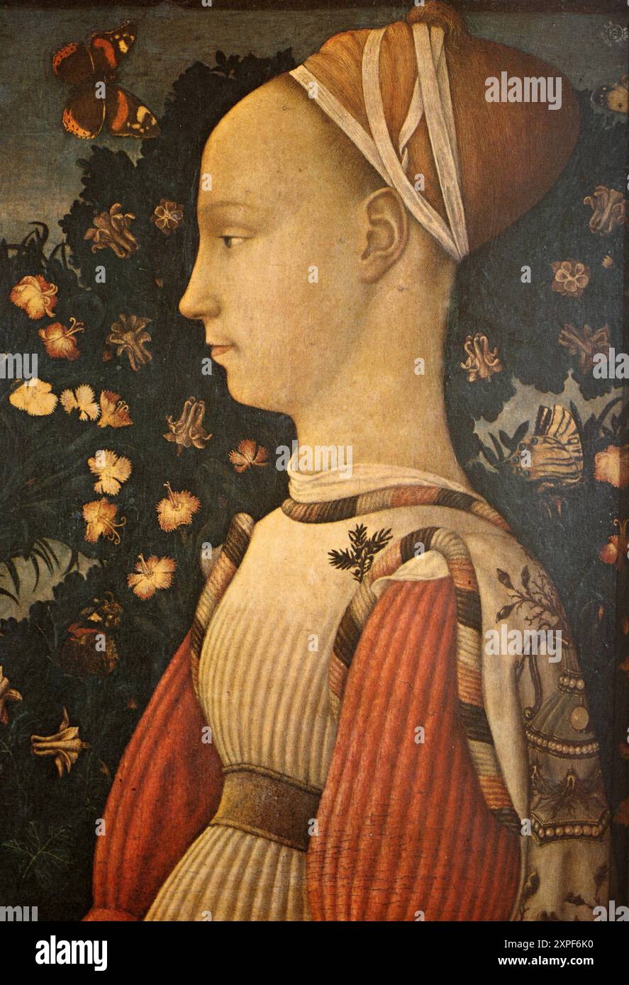 Gemälde von Antonio Pisanello * 1395 a Pisa um 1455 in Rom, eigentlich Antonio di Puccio Pisano und manchmal auch als Vittore Pisano, Porträt einer P. Foto Stock