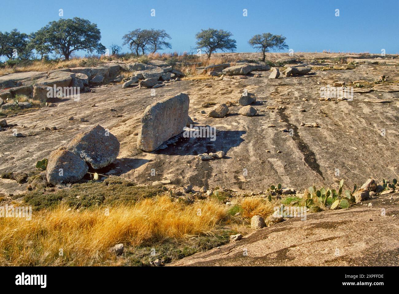 Massi di granito a Little Rock, Texas, querce vive in lontananza, Enchanted Rock State Natural area, in Hill Country vicino a Fredericksburg, Texas, Stati Uniti Foto Stock