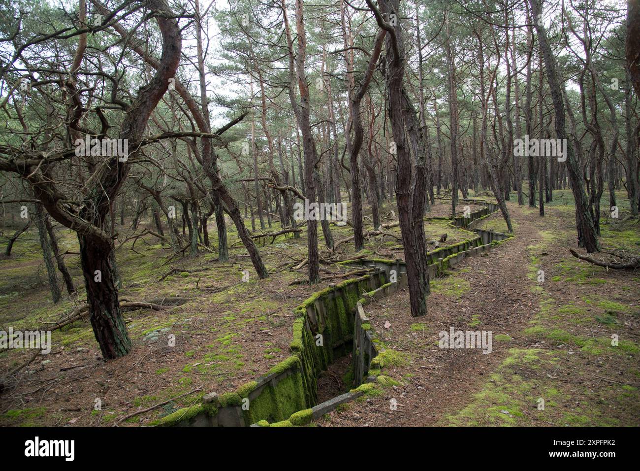 Linea difensiva di fortificazione della Guerra fredda a Hel, Polonia © Wojciech Strozyk / Alamy Stock Photo Foto Stock