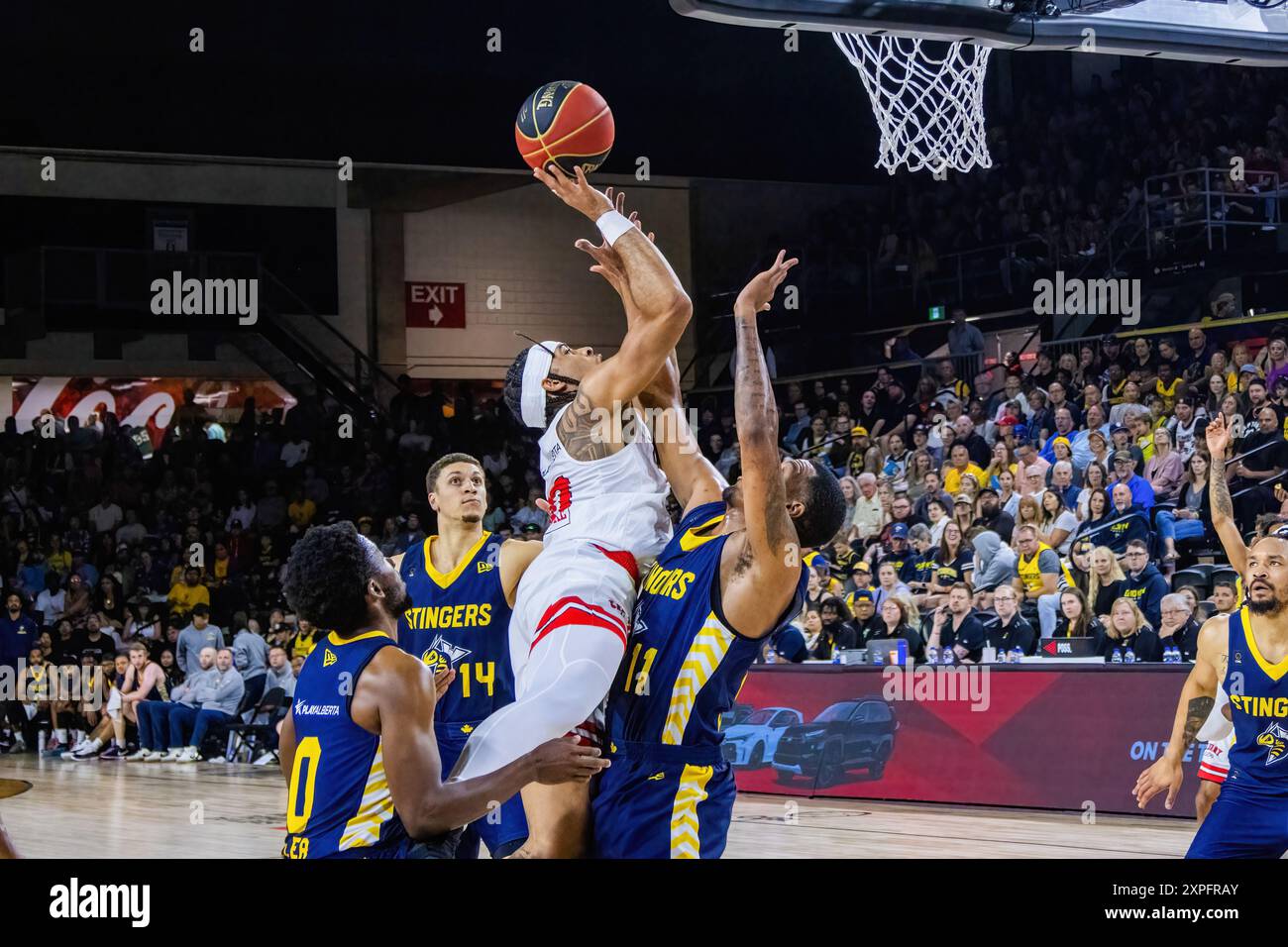 Edmonton, Canada. 4 agosto 2024. Sean Miller-Moore di Calgary (C) prende aria di fronte a Nick Hornsby (R), Elijah Miller (L1) e Brody Clarke (L2) nella semifinale della Western Division nel 2024 CEBL tra Calgary Surge e gli Edmonton Stingers. Calgary Surge (11-9) 78:69 Edmonton Stingers (13-7) (foto di Ron Palmer/SOPA Images/Sipa USA) crediti: SIPA USA/Alamy Live News Foto Stock