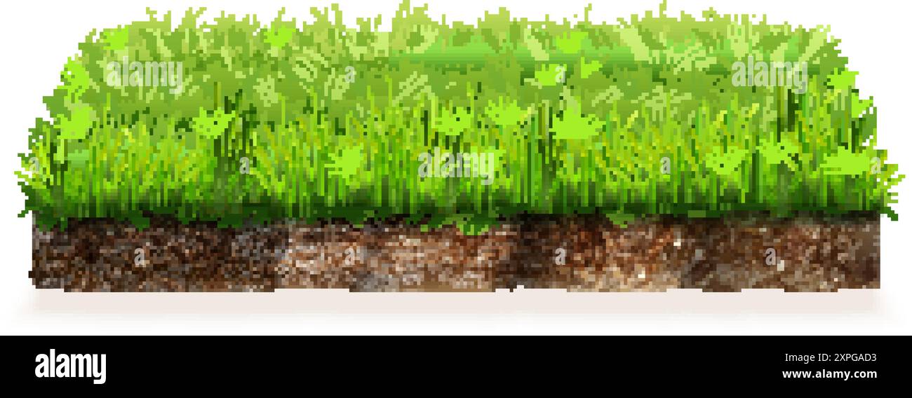 Terreno realistico. appezzamenti quadrati di terreno 3d, sezione di terreno isolata galleggiante prato erba verde, prato di campo sul retro terreno terreno terreno terreno terreno terreno terreno terreno terreno ecologico pubblicità esatta illustrazione vettoriale grafica degli autori Illustrazione Vettoriale
