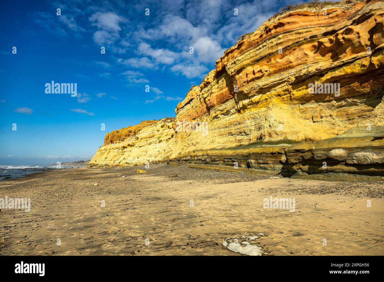 Uno splendido paesaggio costiero caratterizzato da scogliere colorate e una spiaggia sabbiosa sotto un cielo azzurro luminoso presso la Torrey Pines State Beach Foto Stock