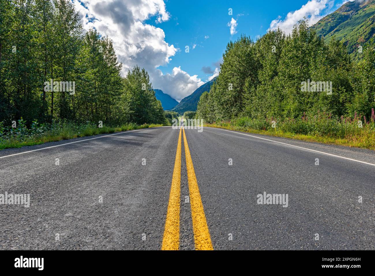 Sulla strada, autostrada nel parco nazionale di Jasper, Canada. Foto Stock