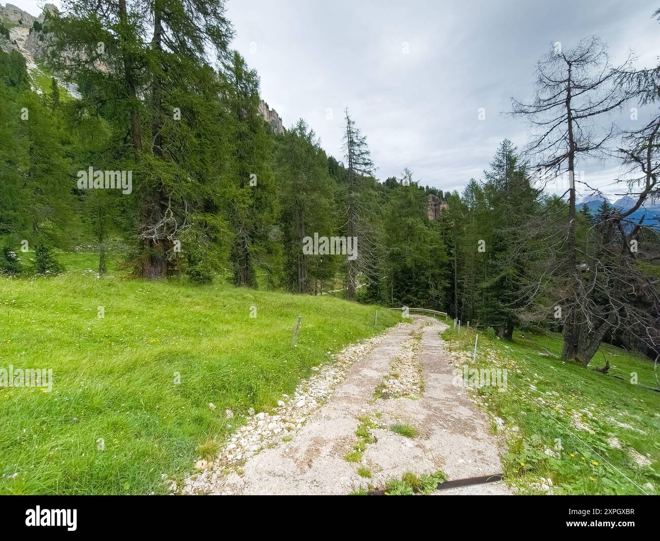 Escursioni in Val di Fassa - Dolomiti - Italia Foto Stock