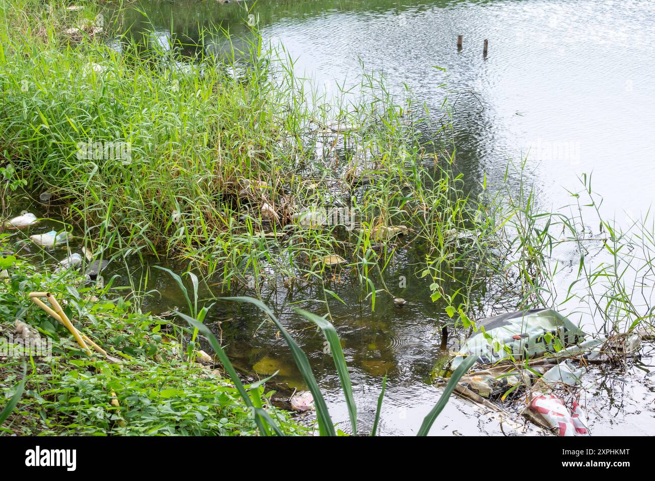 Inquinamento da plastica nell'ambiente dello stagno idrico Foto Stock