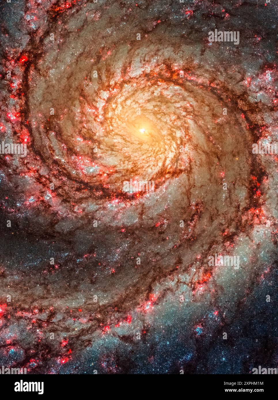 La Galassia Whirlpool, nota anche come Messier 51a, è una galassia a spirale che interagisce con un nucleo galattico attivo Seyfert 2. Foto della NASA Foto Stock