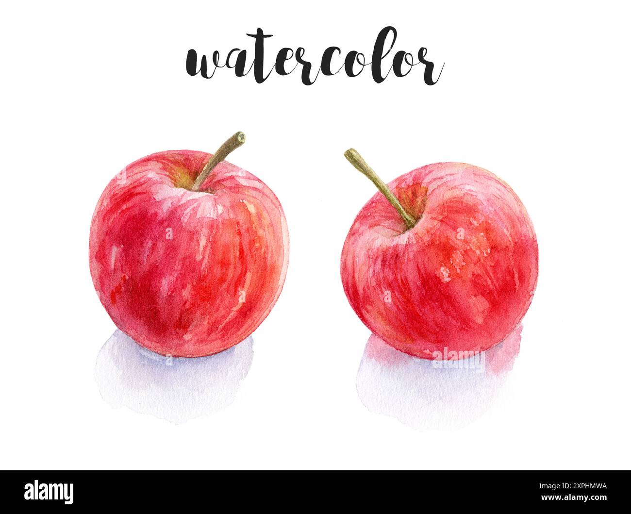 Un'illustrazione realistica ad acquerello che raffigura mele fresche e succose Foto Stock Un'illustrazione realistica ad acquerello che raffigura mele fresche e succose Foto Stock