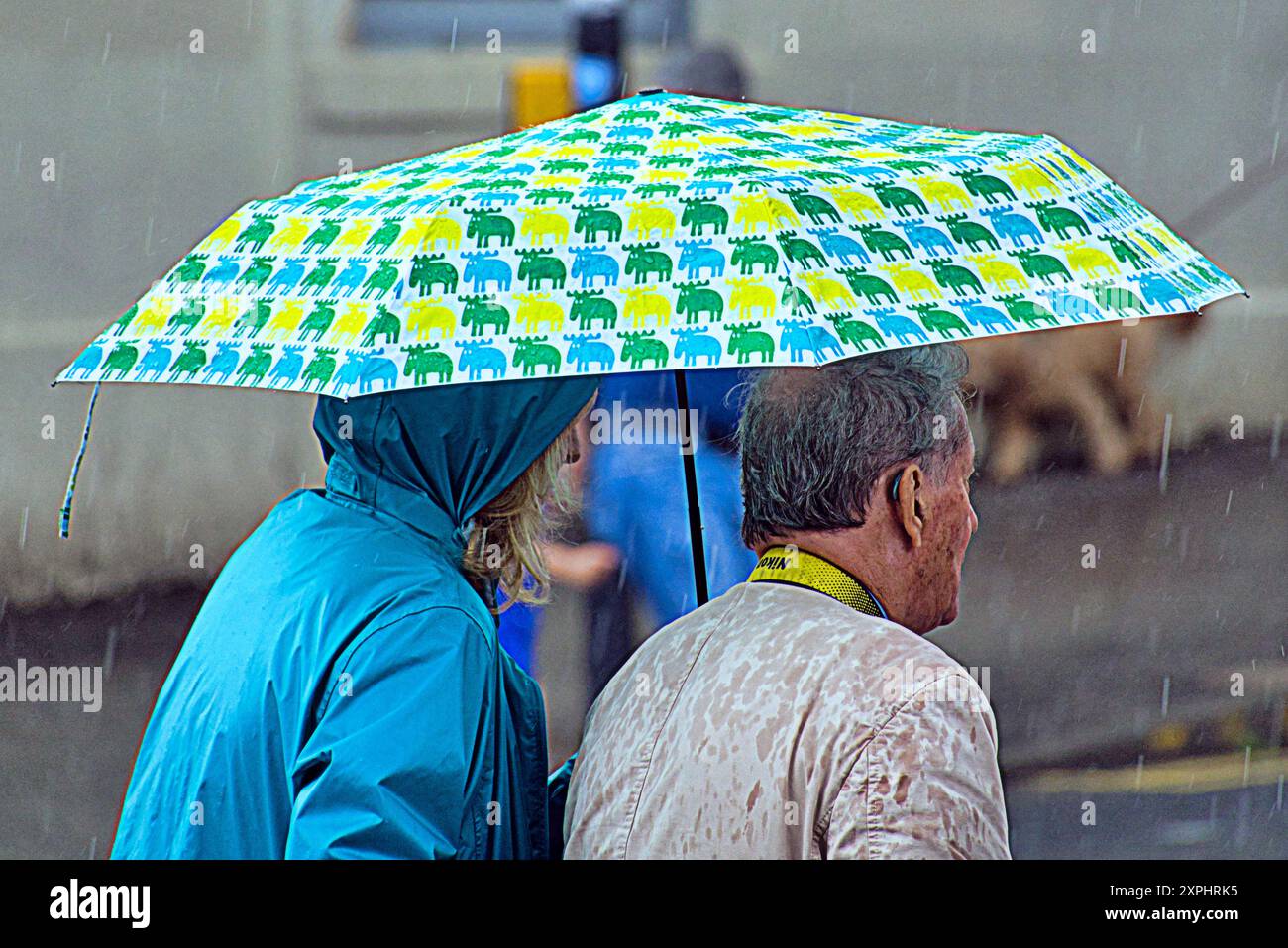 Glasgow, Scozia, Regno Unito. 6 agosto 2024. Meteo nel Regno Unito: Pioggia con previsioni per altri luoghi in cui la gente del posto e i turisti si nascondono sotto gli ombrelli nel centro della città. Credit Gerard Ferry/Alamy Live News Foto Stock