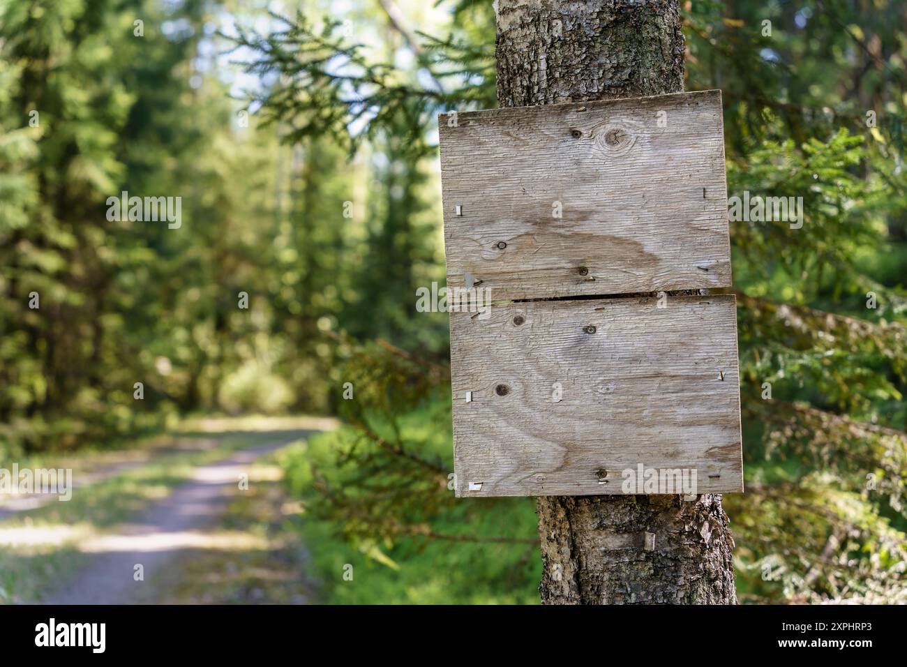 Cartello di legno vuoto accanto a una strada forestale in Finlandia Foto Stock