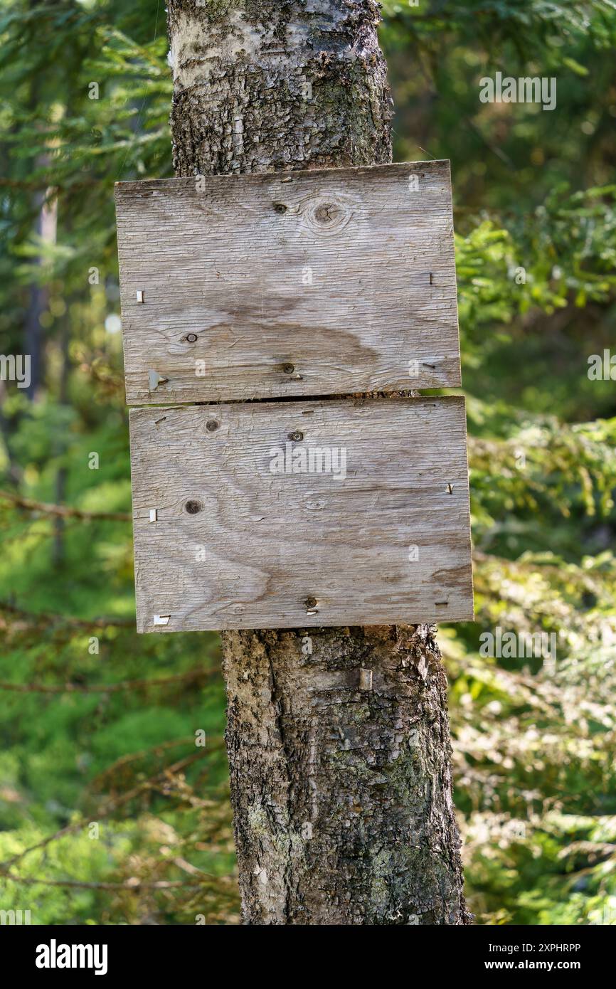 Cartello di legno vuoto su un albero in Finlandia Foto Stock