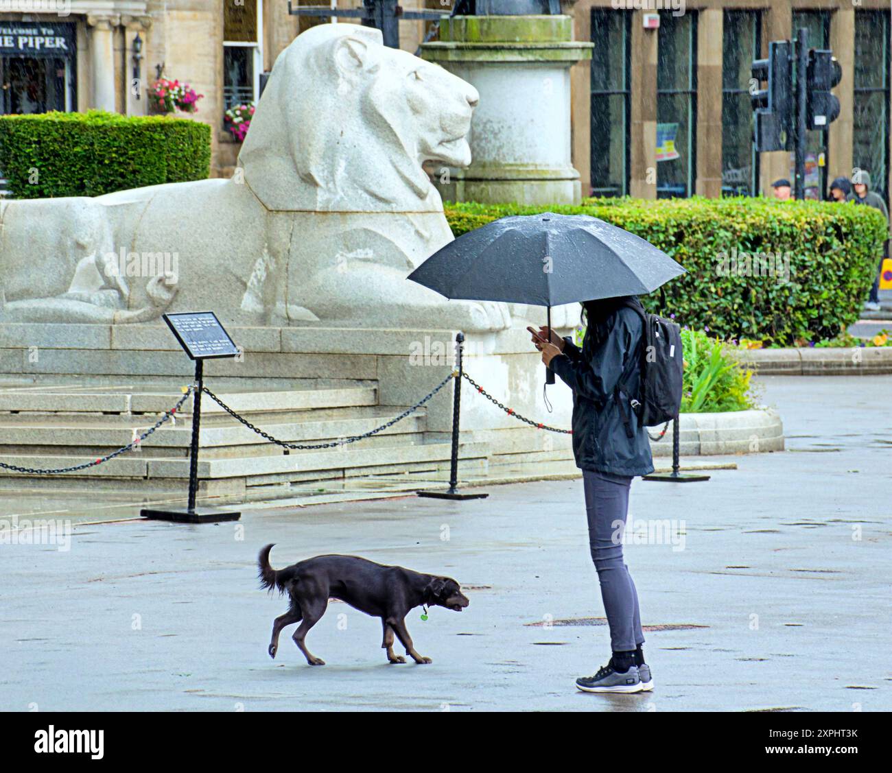 Glasgow, Scozia, Regno Unito. 6 agosto 2024. Meteo nel Regno Unito: Pioggia con previsioni per altri luoghi in cui la gente del posto e i turisti si nascondono sotto gli ombrelli nel centro della città. Credit Gerard Ferry/Alamy Live News Foto Stock