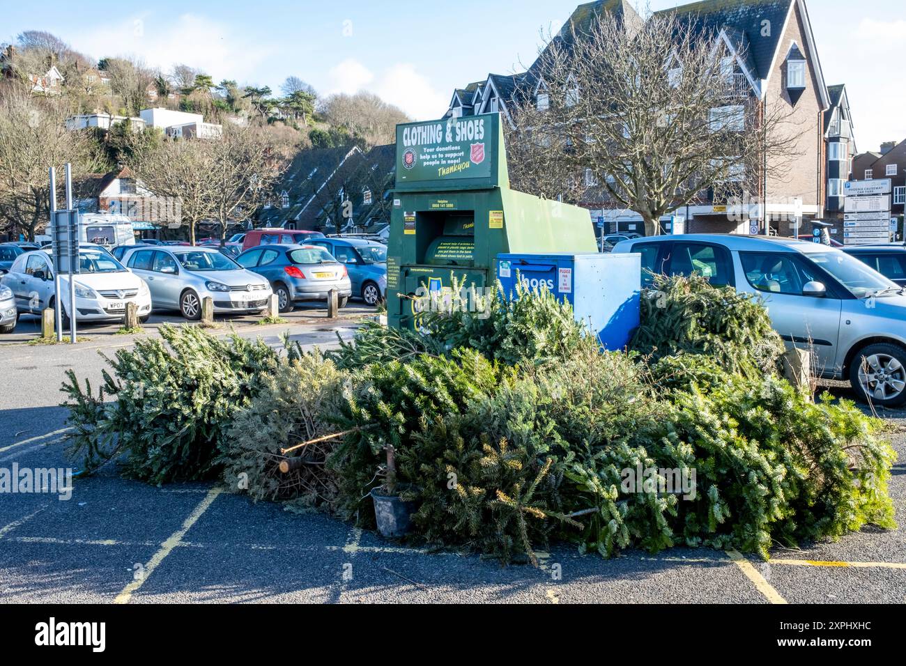 Alberi di Natale scartati presso Un punto di riciclaggio, Lewes, East Sussex, Regno Unito. Foto Stock