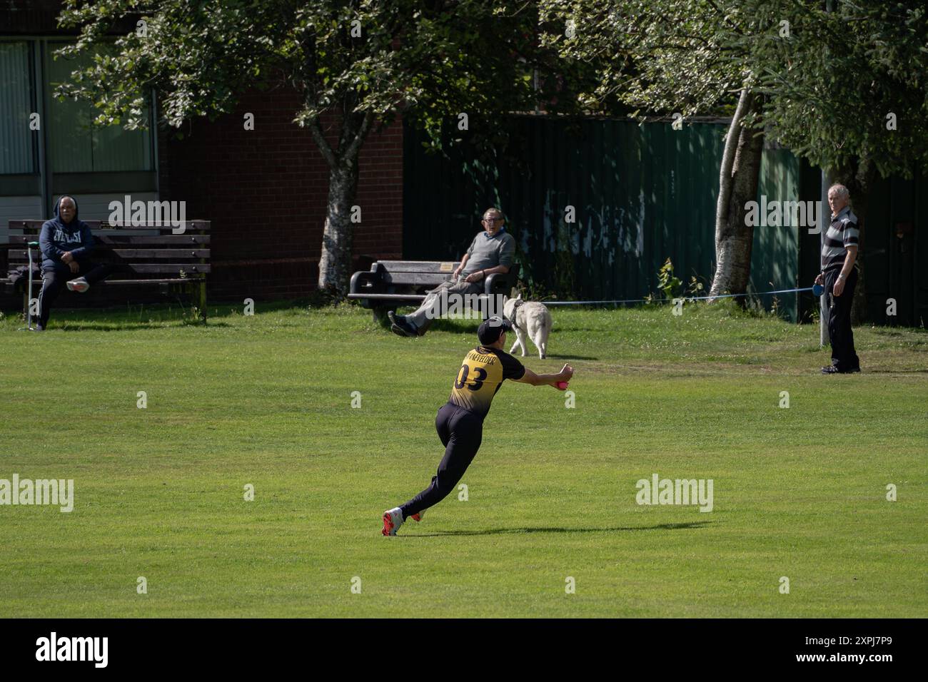 Fielder che fa immersioni in una partita di cricket Foto Stock