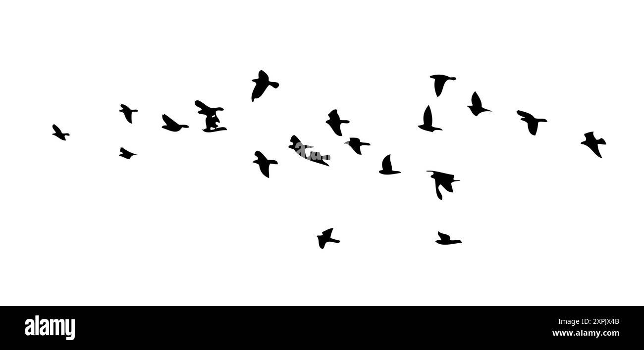 Flying Birds silhouette Flock. disegno manuale. Non IA. Illustrazione vettoriale Illustrazione Vettoriale