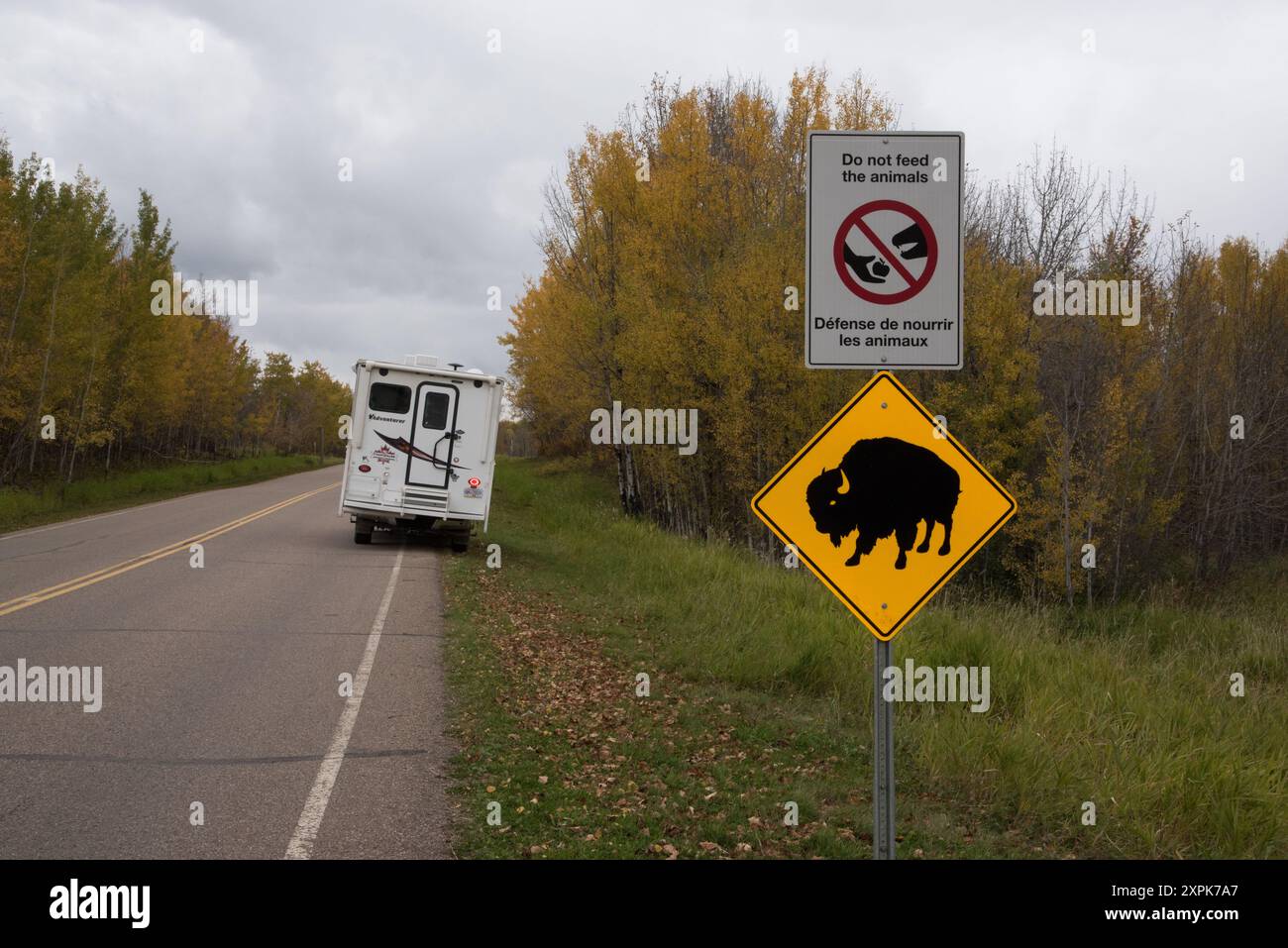 Segnali stradali che segnalano che i bisonti delle pianure camminano intorno al parco nazionale di Elk Island in Alberta, in Canada. Foto Stock