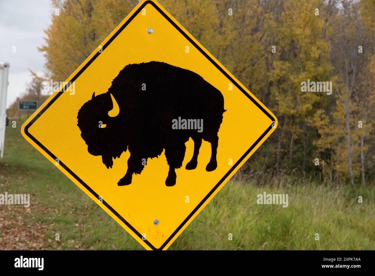 Segnali stradali che segnalano che i bisonti delle pianure camminano intorno al parco nazionale di Elk Island in Alberta, in Canada. Foto Stock