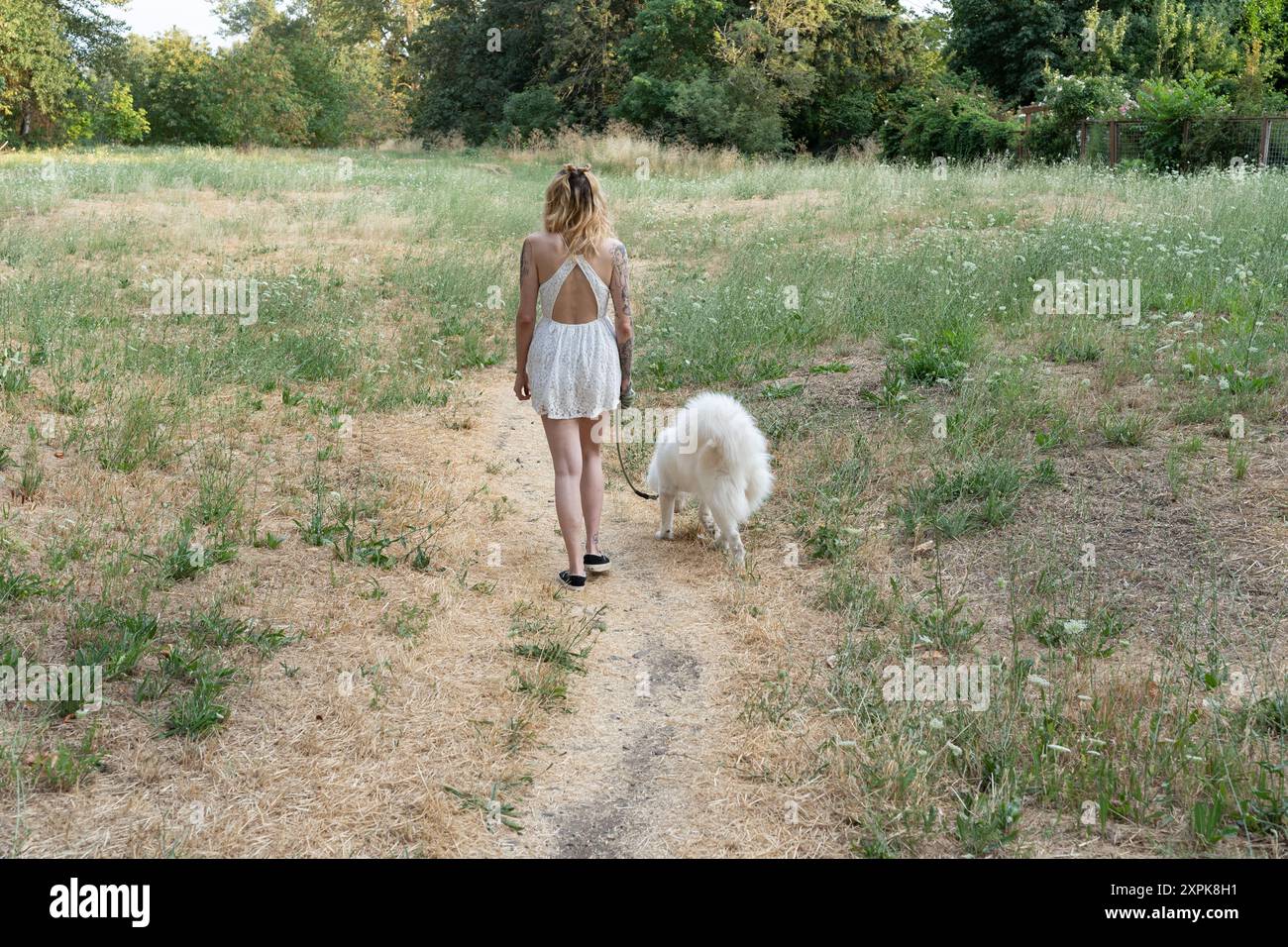 una donna snella con un vestito bianco che cammina un cane bianco lungo un sentiero in un prato Foto Stock