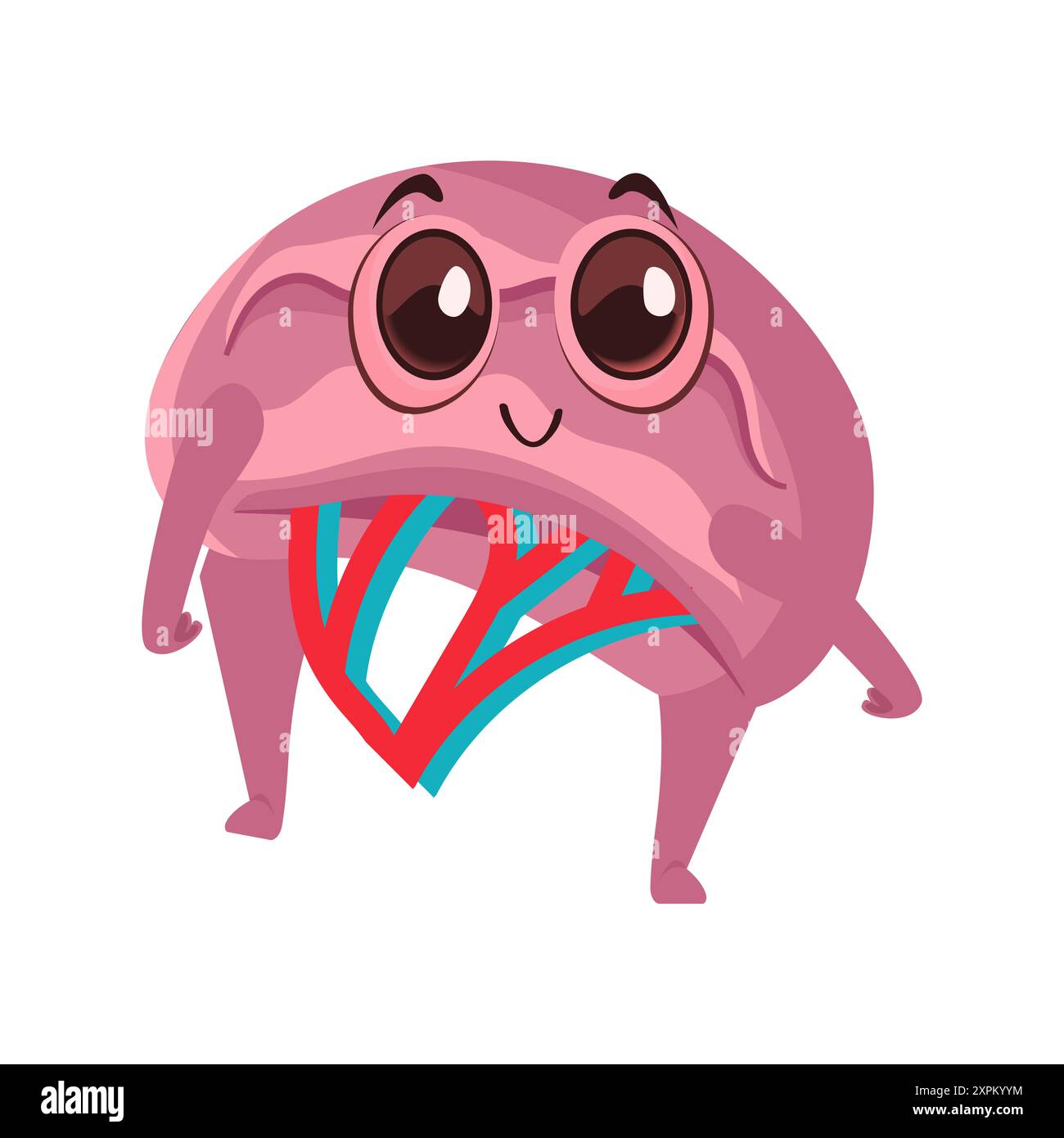 E' un organo umano. Foto Stock