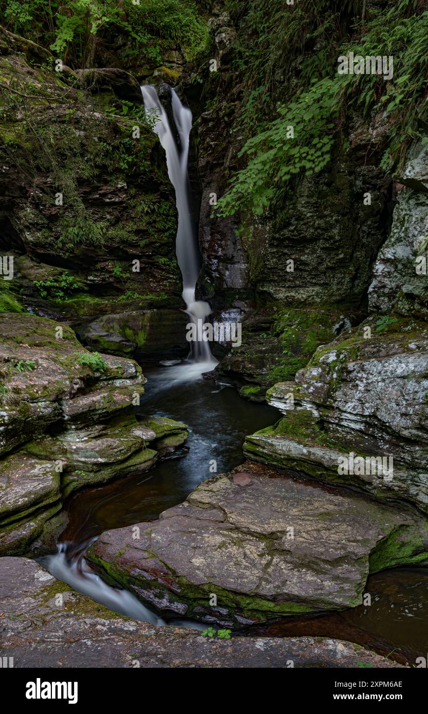 Adams Falls si trova sul Litchen Creek nel Ricket's Glen State Park, nella contea di Luzwere, Pennsylvania Foto Stock