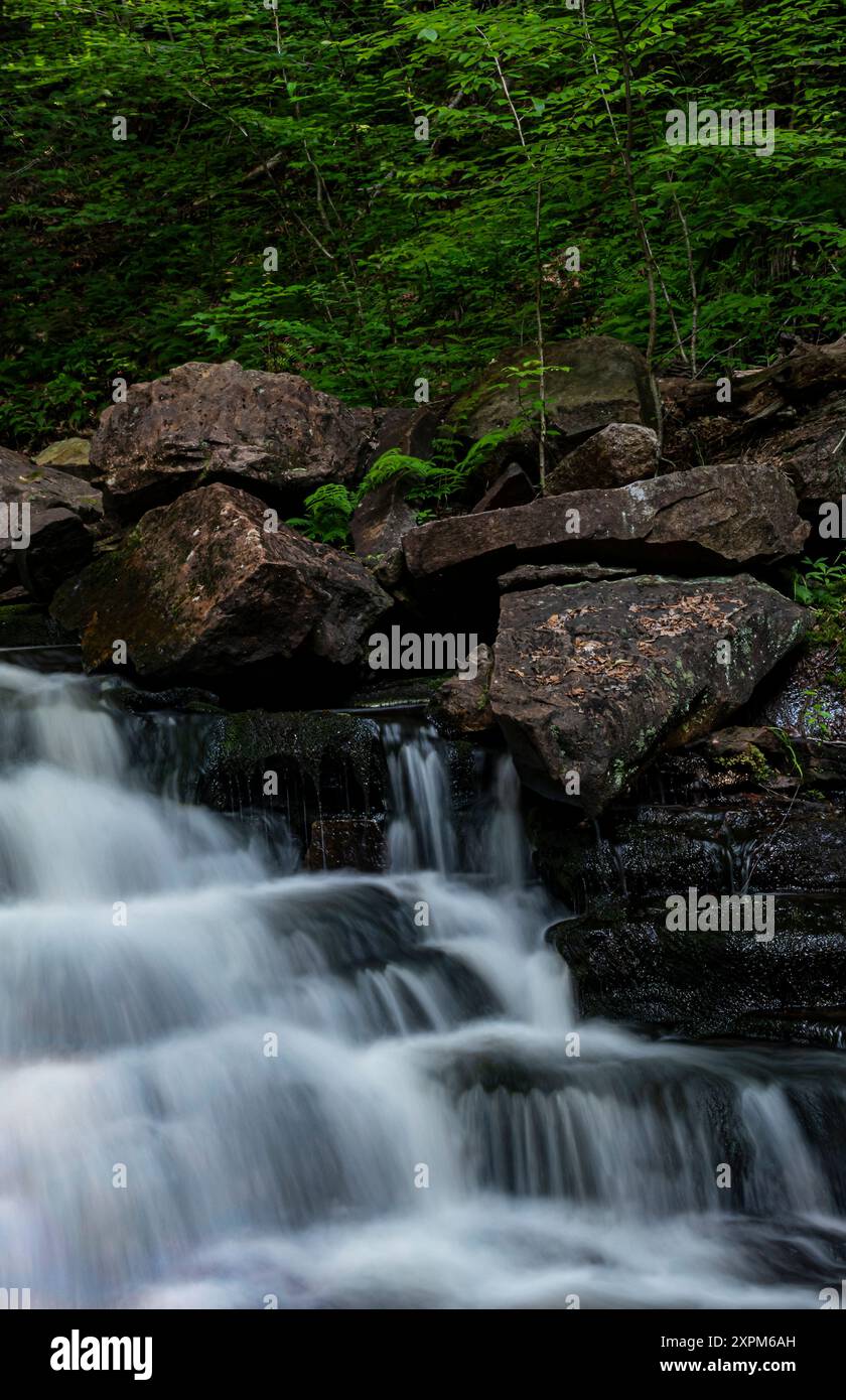 Una sezione di cascata sembra quasi Steps, Rickett's Glen State Park, Luzerne County, Pennslvania Foto Stock