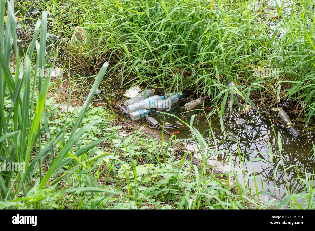 Inquinamento da plastica nell'ambiente dello stagno idrico Foto Stock