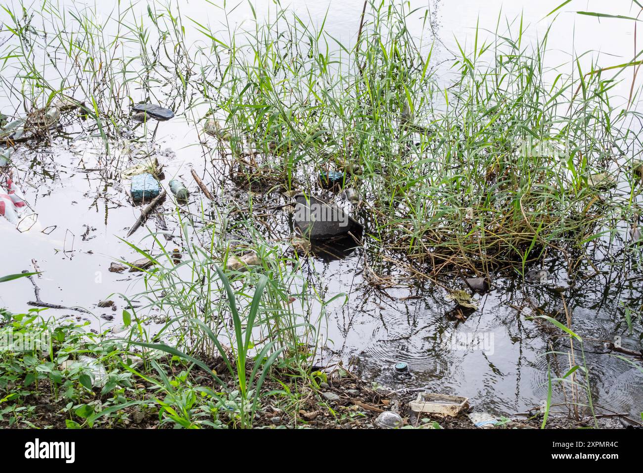 Inquinamento da plastica nell'ambiente dello stagno idrico Foto Stock