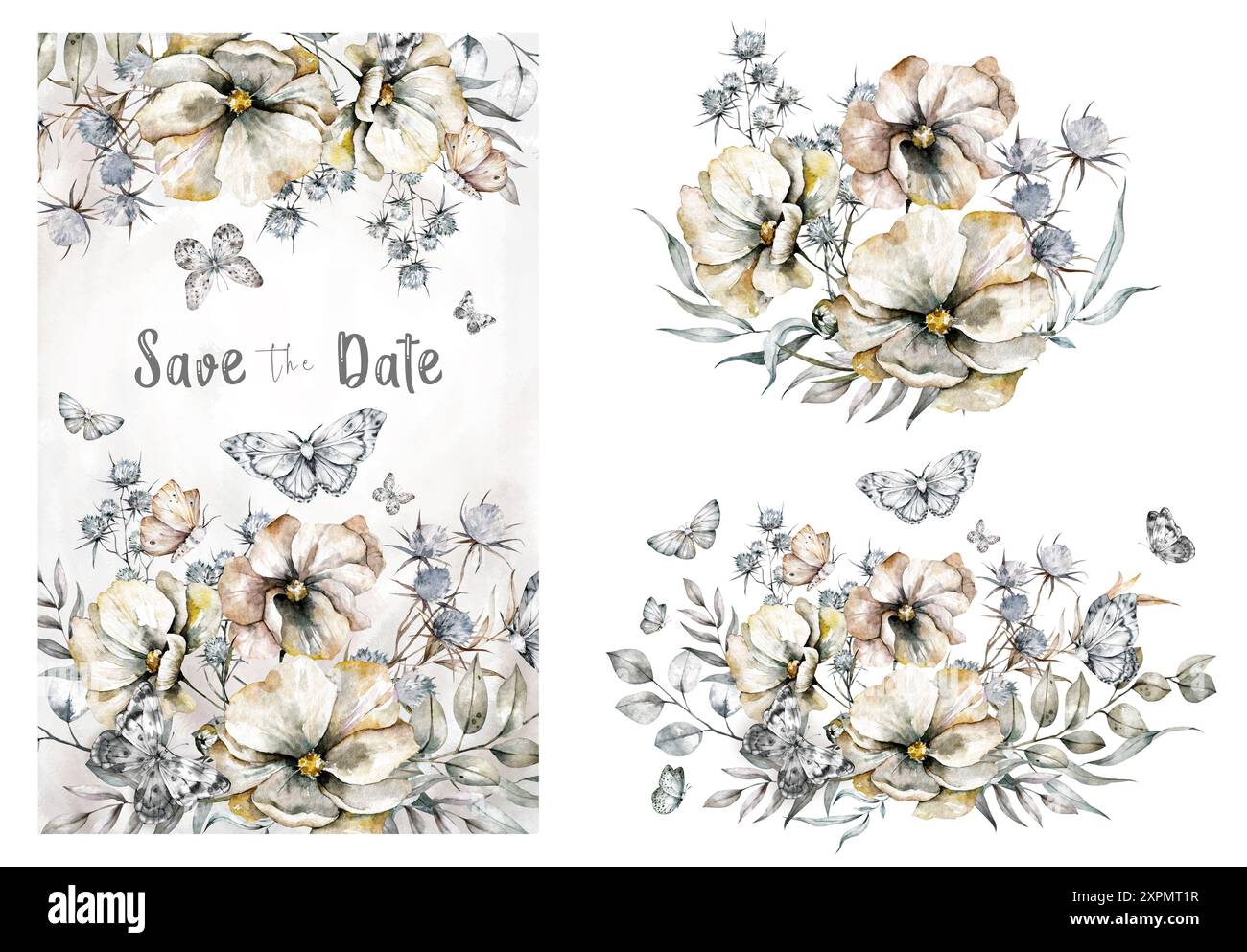 Fiori e farfalle modello per biglietto d'auguri. Acquerello fiori di mais, bouquet estivo Fiori e farfalle modello per il biglietto di auguri. Waterco Foto Stock