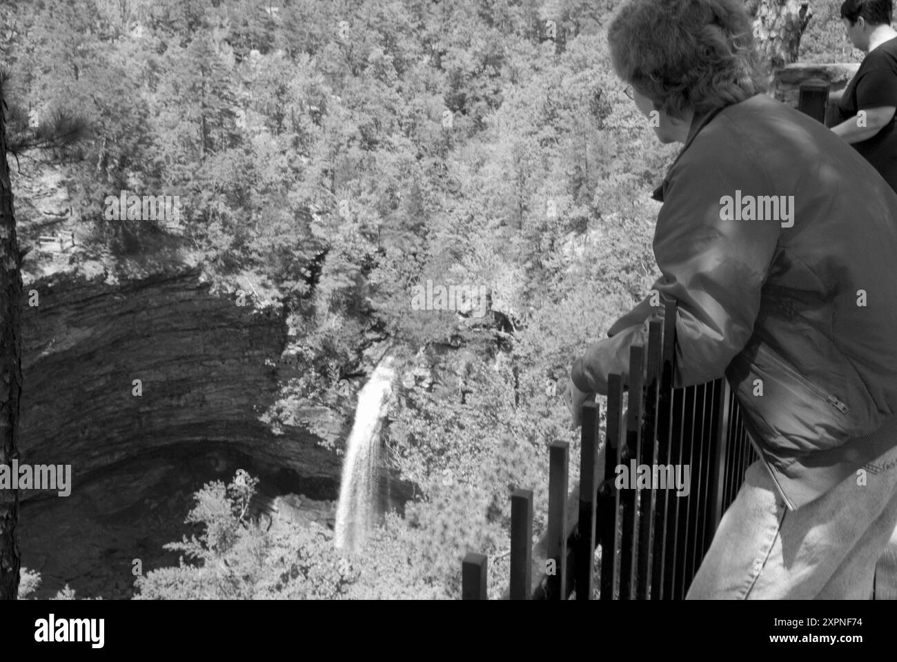 Donna caucasica, di età compresa tra i 50 e i 55 anni, che gode della vista panoramica delle cascate di Cedar Creek da un punto di osservazione del Petit Jean State Park vicino a Morrilton, Arkansas, USA. Foto Stock