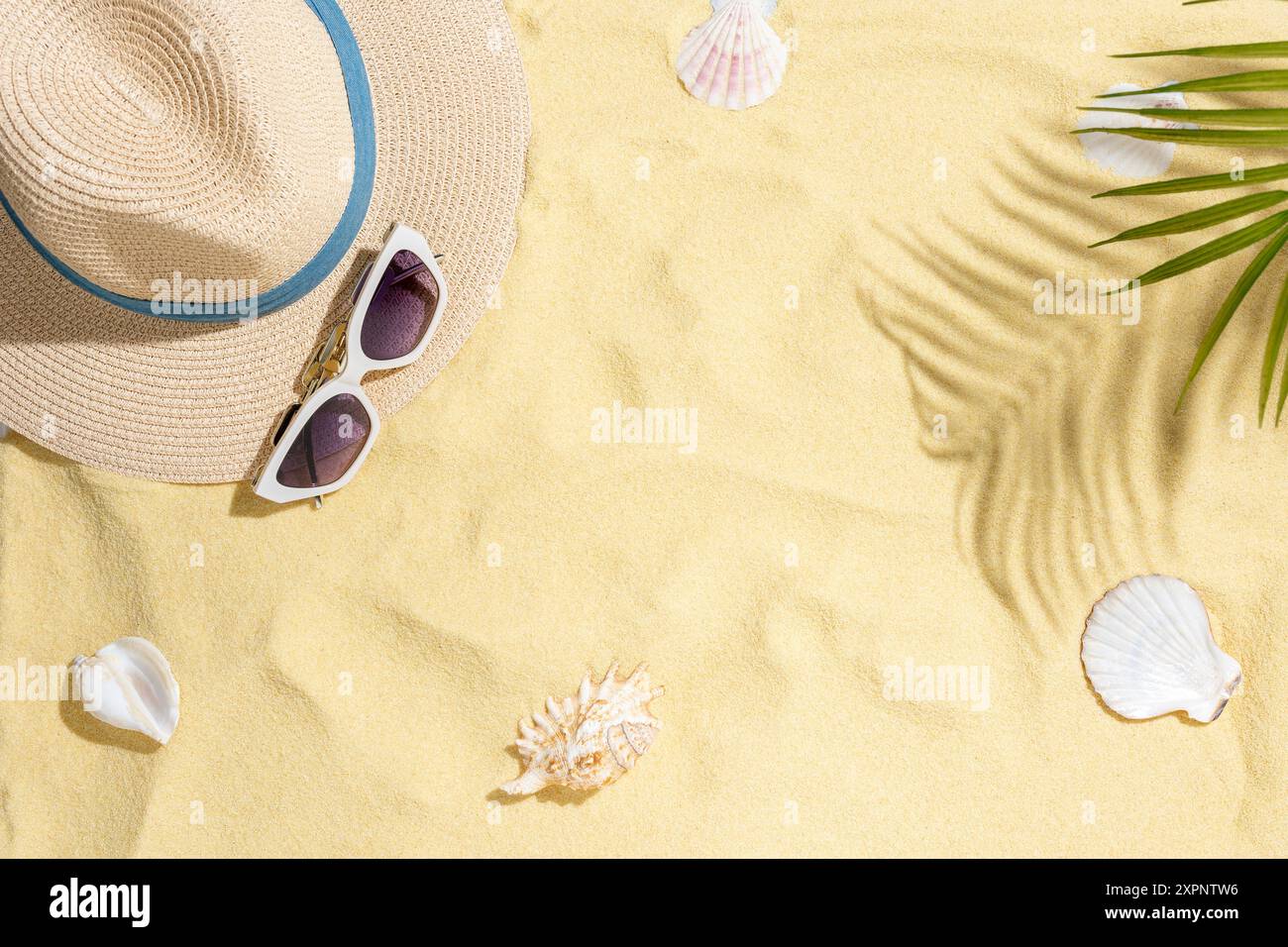 Bellissime conchiglie sulla sabbia della spiaggia. Sfondo delle vacanze estive. Foto Stock