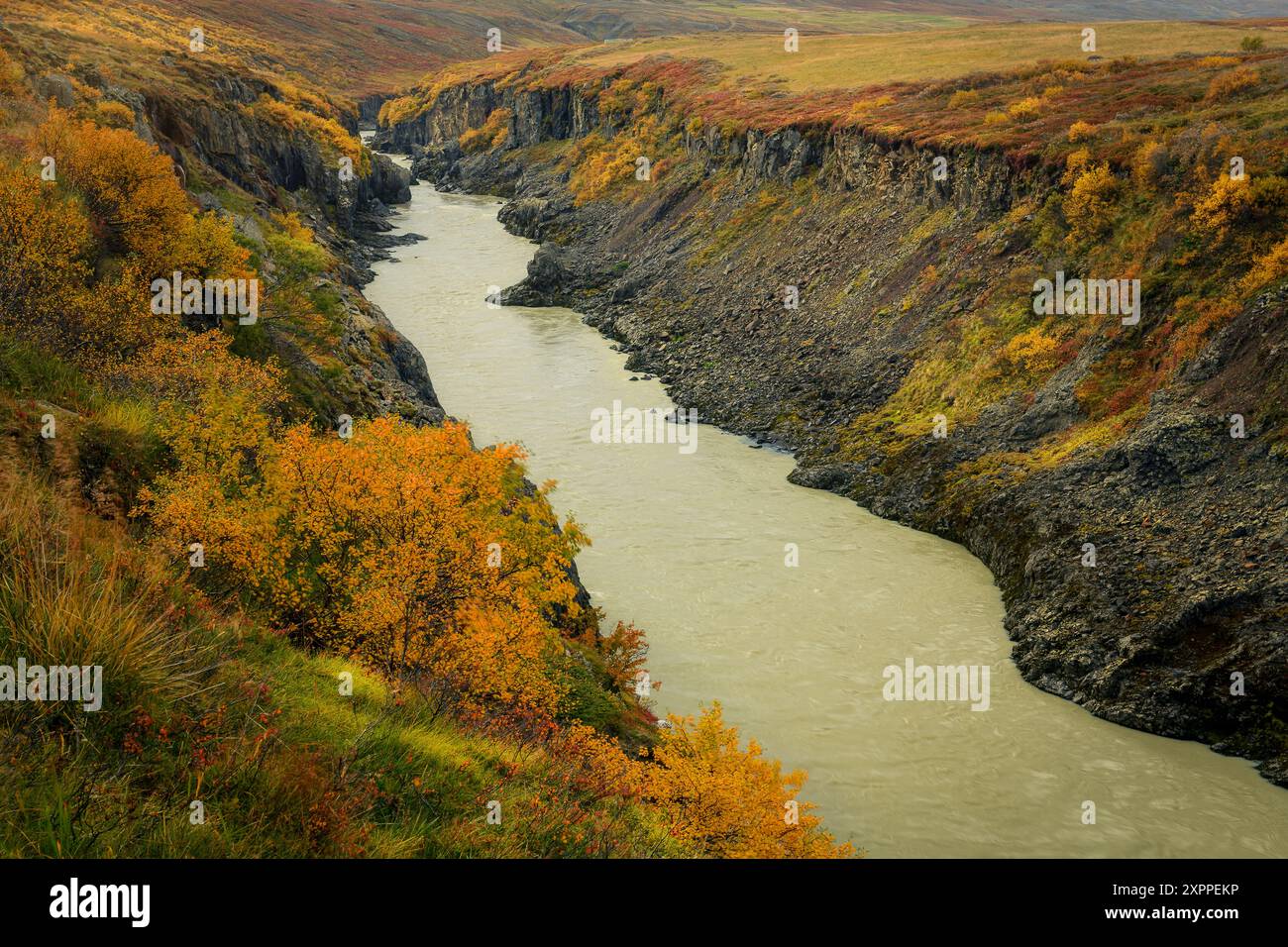 Fiume che scorre attraverso una gola in Islanda durante l'autunno, colori bellissimi Foto Stock