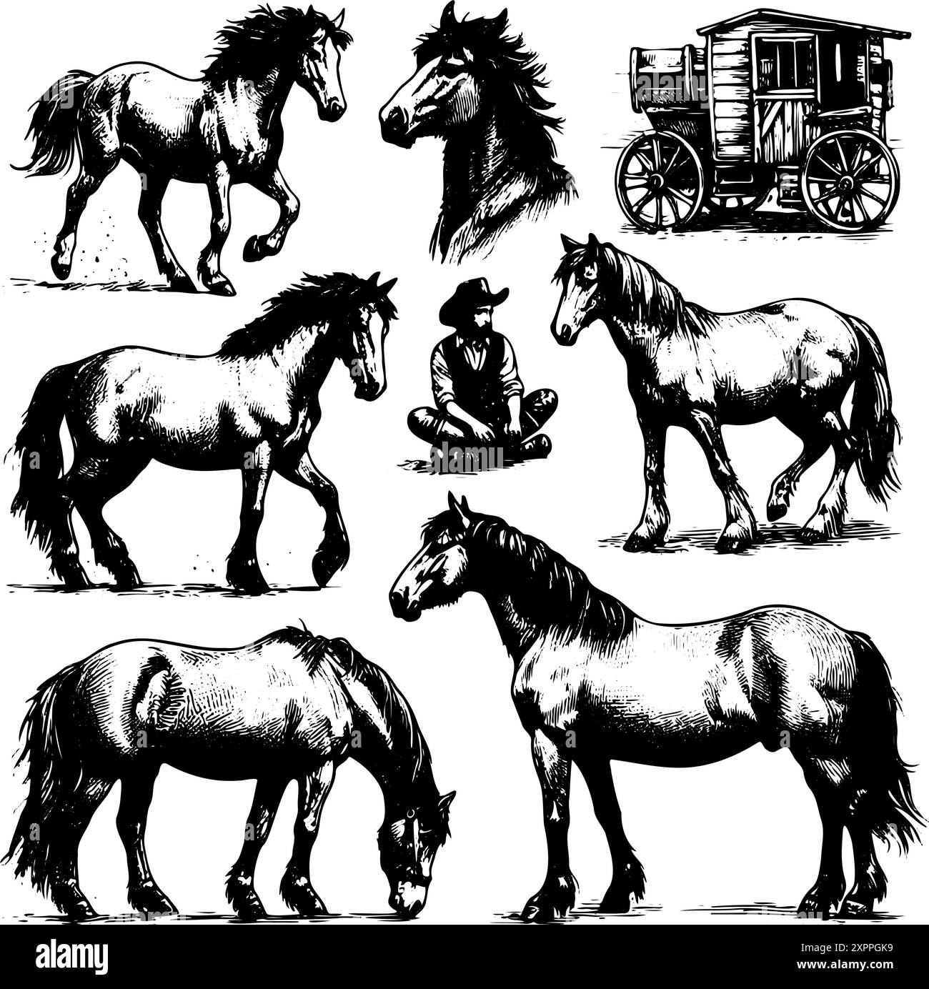 L'immagine è una collezione di disegni in bianco e nero di cavalli e di un uomo con un cappello da cowboy. I cavalli sono raffigurati in varie pose, tra cui uno che sta mangiando erba Illustrazione Vettoriale