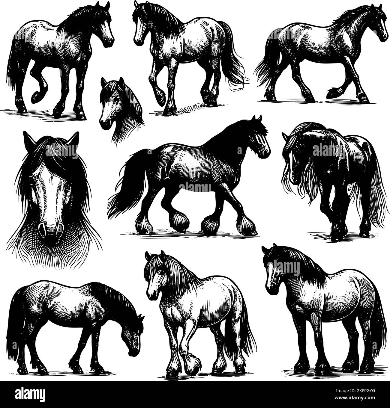 I cavalli nell'immagine sono di dimensioni diverse e hanno espressioni diverse. Alcuni sono fermi, mentre altri camminano o corrono Illustrazione Vettoriale