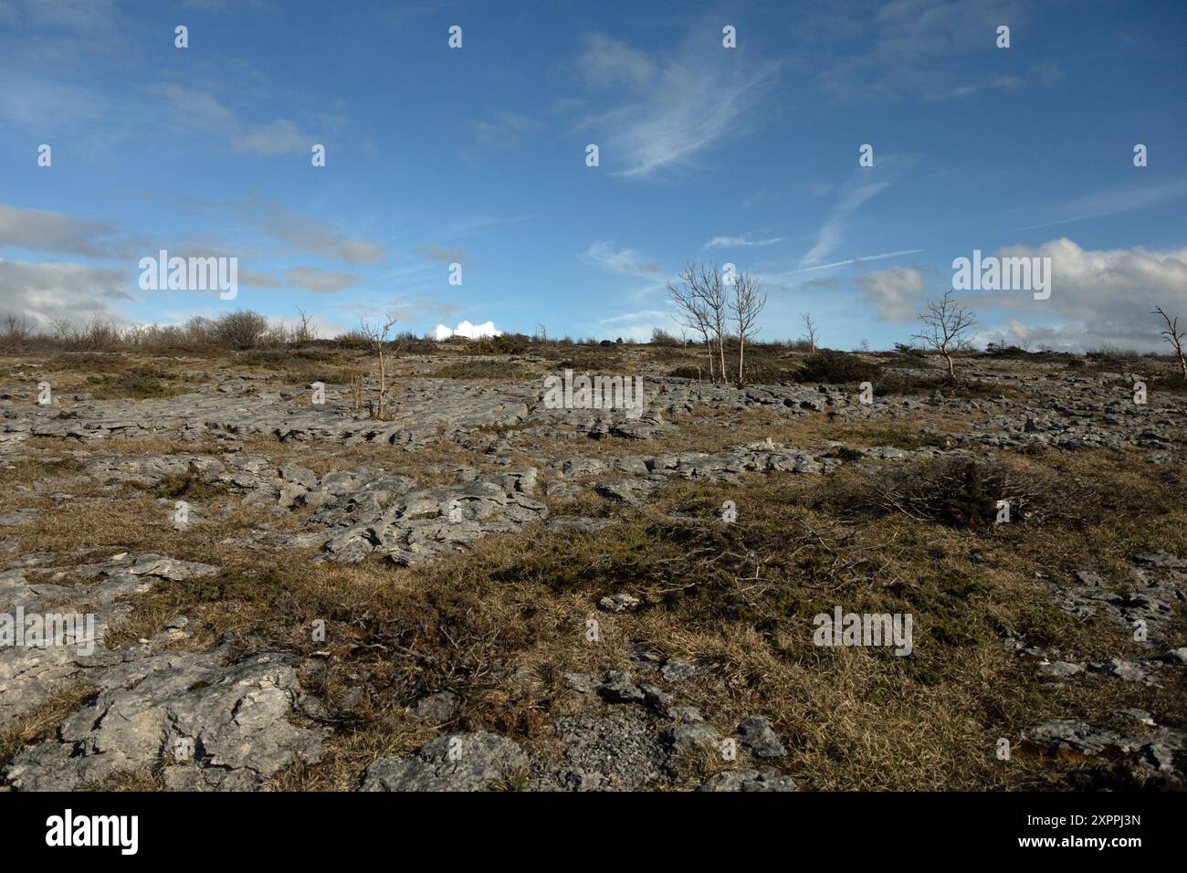 L'altopiano sommitale Hutton Roof Crags vicino a Burton, nel Kendal Westmorland e Furness, in Inghilterra Foto Stock