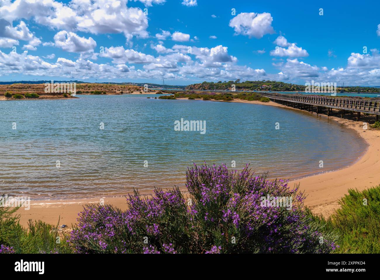 Alvor Portogallo vista della passerella e del fiume laguna con fiori colorati nella splendida città dell'Algarve Foto Stock