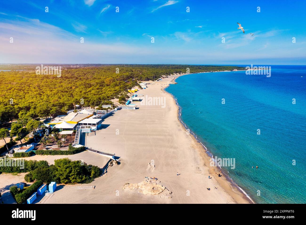 Vista aerea di Baia dei Turchi, regione Puglia, Italia. Baia turca (o Baia dei Turchi), questa costa pugliese è uno degli ecosistemi più importanti Foto Stock