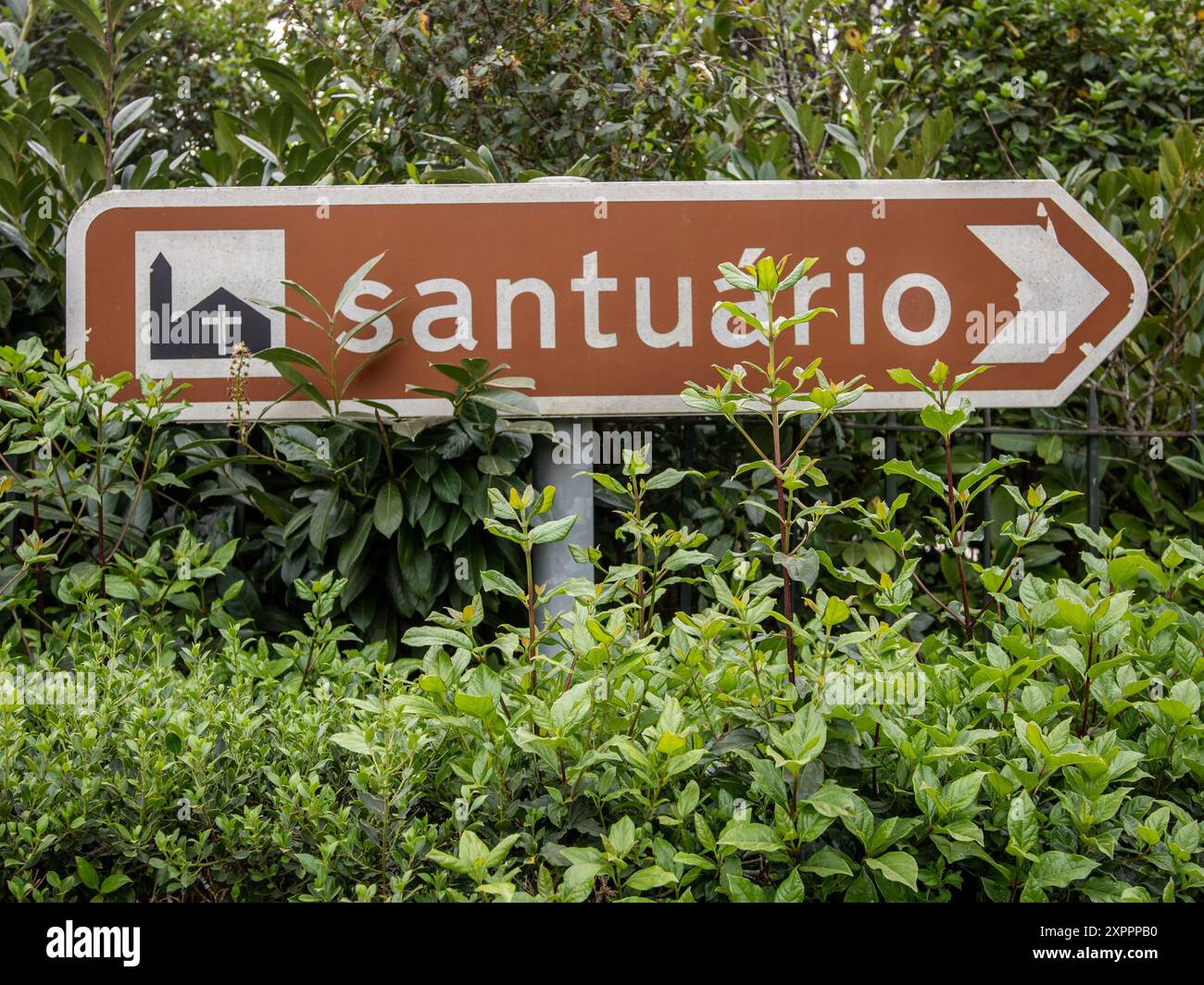 Cartello con la parola portoghese "Santuário" che indica un santuario, circondato da vegetazione lussureggiante e piante selvatiche Foto Stock