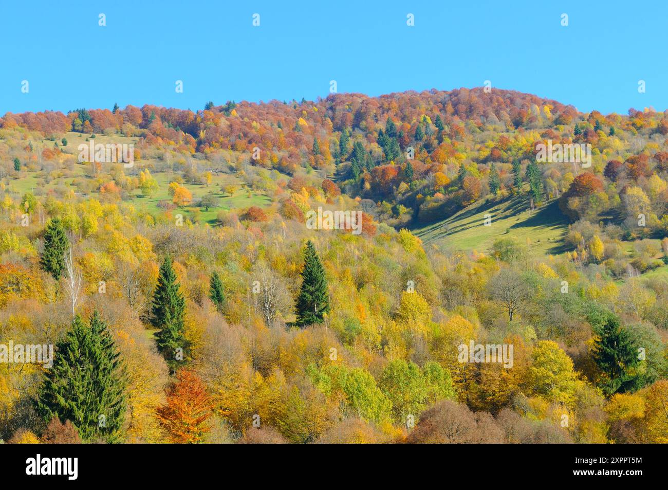 Pittoresco paesaggio autunnale con catene montuose, foreste decidue e cielo blu. Carpazi, Ucraina. Foto Stock