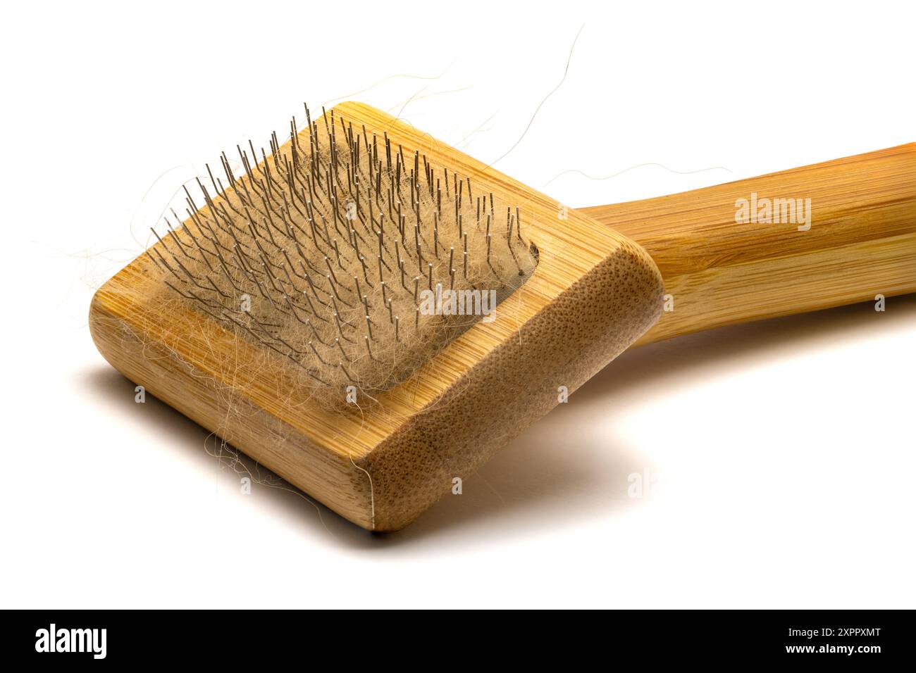 Spazzola in legno con pelliccia rossa per la cura dei cani. Strumento per la cura degli animali isolato su sfondo bianco, vista ravvicinata Foto Stock