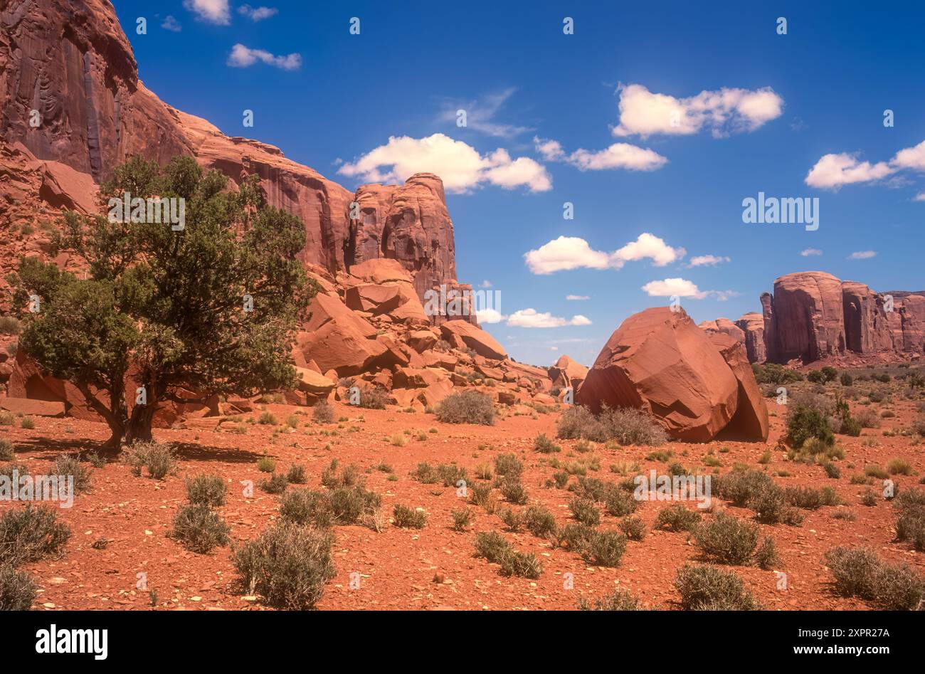 Paesaggio del sud-ovest americano con abbracci e massi a Mexican Hat, Utah. (USA) Foto Stock